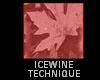 Wine Making Technique